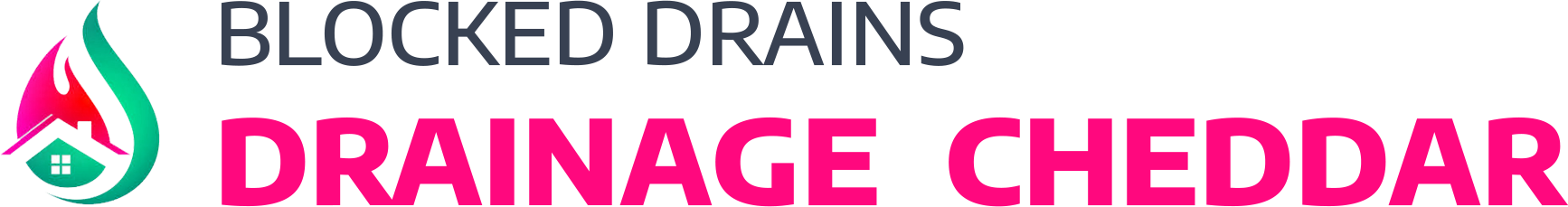 website logo
